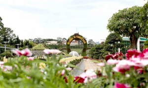 Festival Hoa Đà Lạt 2026: Dấu ấn đầu tiên của Lâm Đồng mới