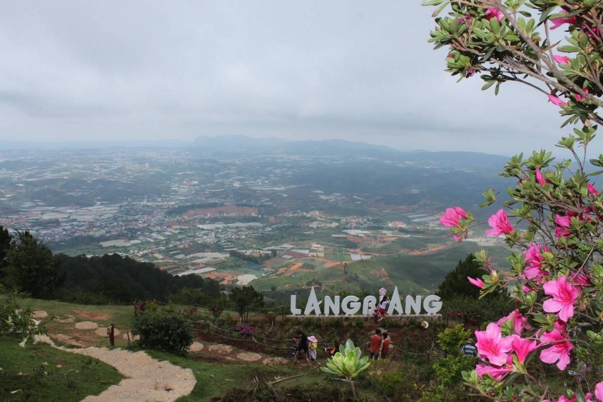 Festival Hoa Đà Lạt kết nối hoạt động văn hóa, quảng bá hình ảnh và phát triển du lịch Lâm Đồng