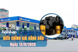 Giá xăng dầu chiều ngày 13/8/2026: Giá xăng, dầu trong nước đồng loạt giảm từ 15h