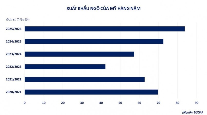 Giá ngô thế giới tăng mạnh, nhập khẩu Việt Nam tăng gần 50%