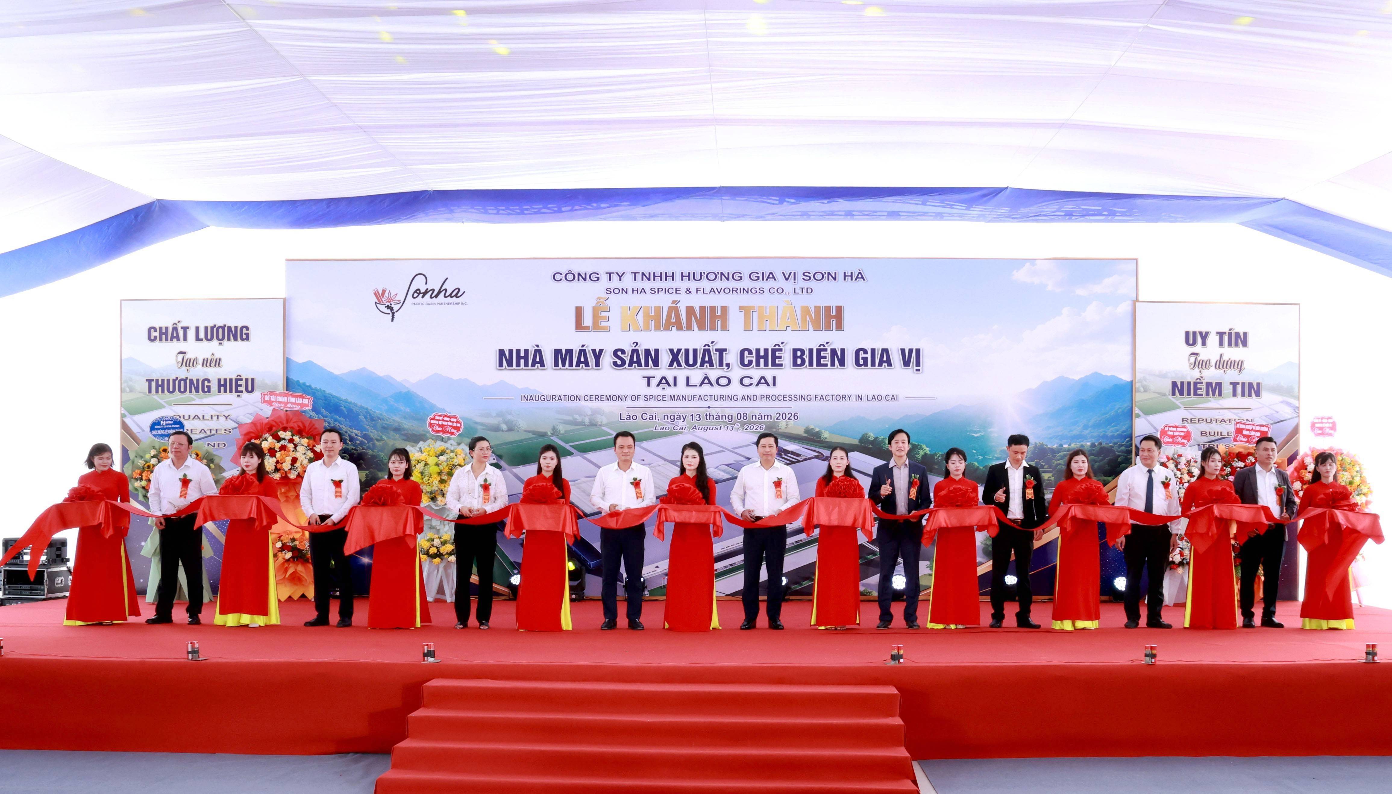 Nhà máy gia vị Xuân Ái mở chuỗi giá trị mới cho vùng quế lớn nhất cả nước ở Lào Cai