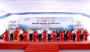 Nhà máy gia vị Xuân Ái mở chuỗi giá trị mới cho vùng quế lớn nhất cả nước ở Lào Cai