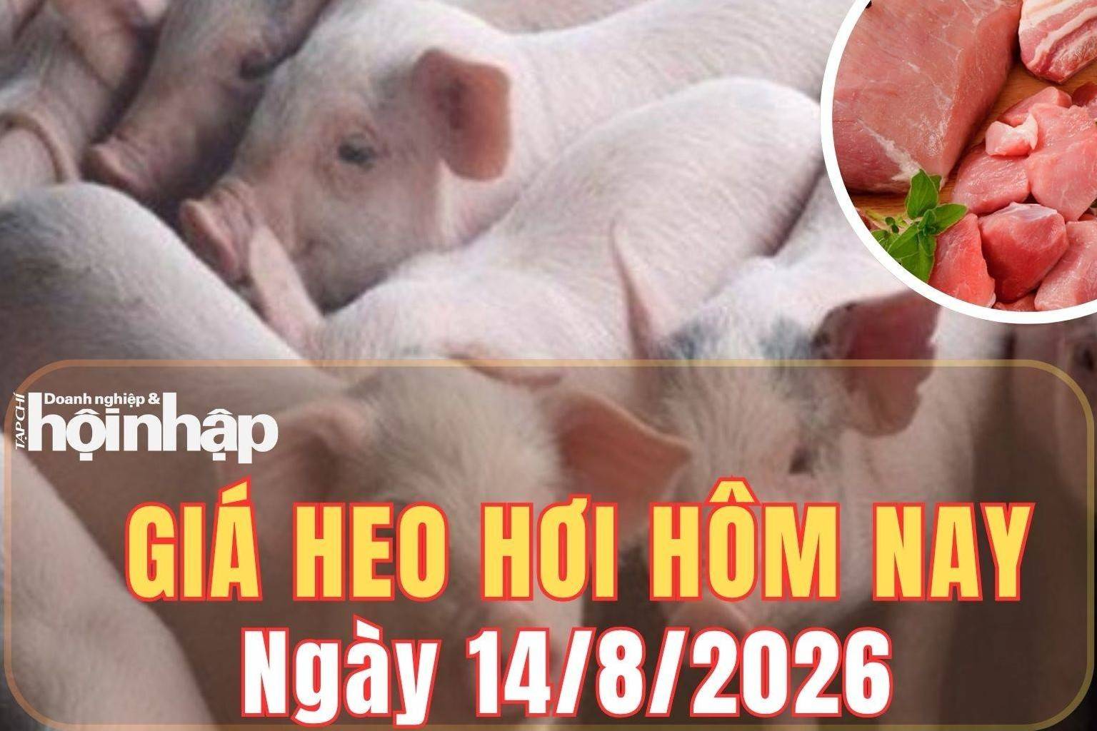 Giá heo hơi hôm nay 14/8/2026: Giá heo hơi giảm nhẹ tại miền Bắc và miền Nam