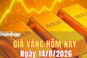 Giá vàng hôm nay 14/8/2026: Vàng trong nước và thế giới quay đầu giảm
