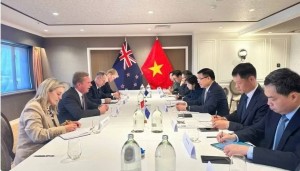 Việt Nam và New Zealand mở thêm dư địa thương mại nông sản và số