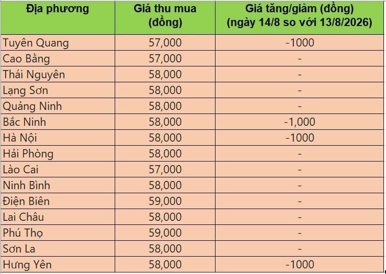 giá heo hơi