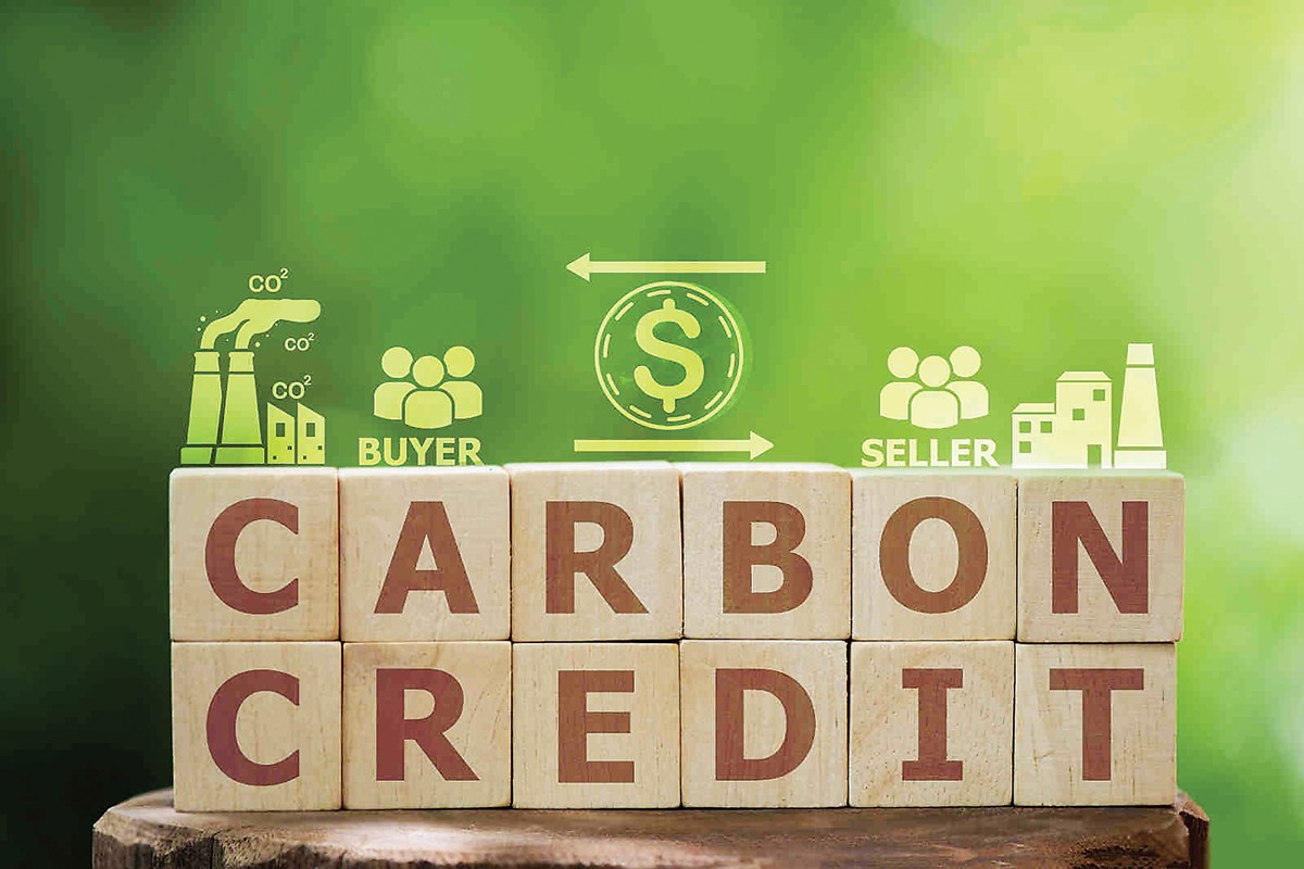 Thị trường carbon Việt Nam bước đầu hình thành sau hơn 2 tháng thí điểm