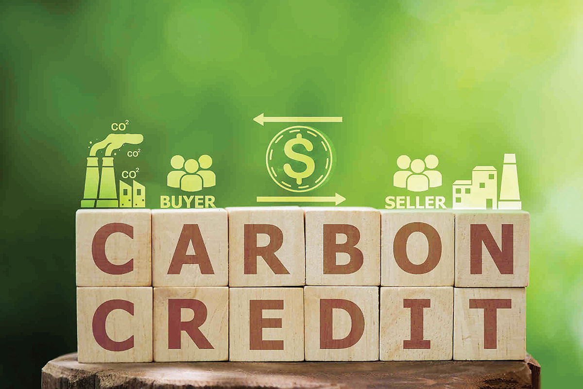 Thị trường carbon Việt Nam bước đầu hình thành sau hơn 2 tháng thí điểm