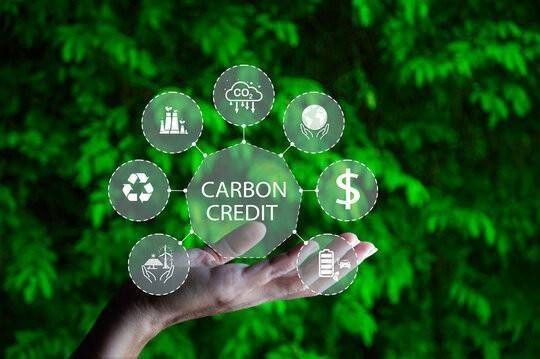 Tín chỉ carbon chưa dễ trở thành khoản vay ngân hàng