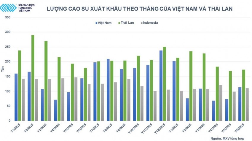 Thị trường cao su trước biến động trái ngược từ nguồn cung và sức mua