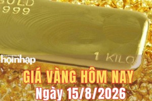 Giá vàng hôm nay 15/8/2026: Vàng SJC và vàng nhẫn tiếp tục giảm