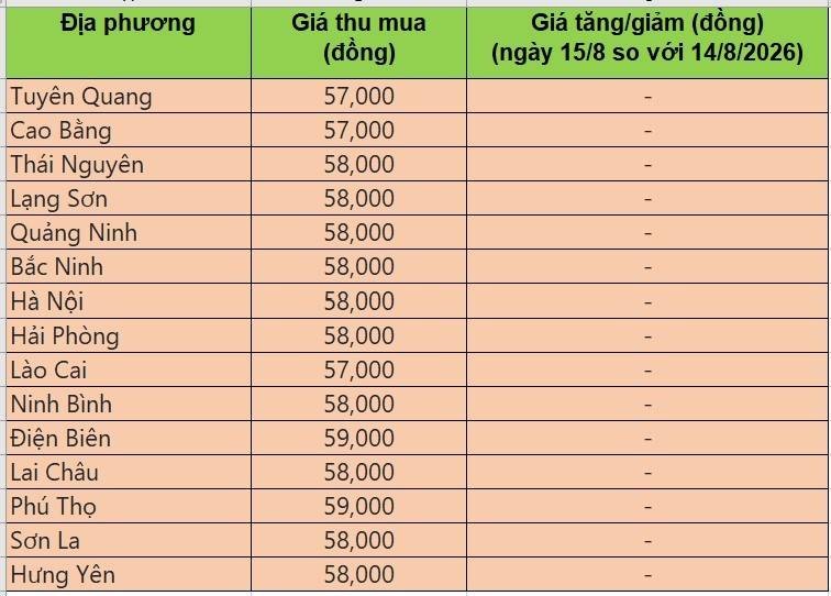 giá heo hơi