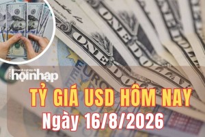 Tỷ giá USD hôm nay 16/8/2026: Đồng USD tiếp tục chịu áp lực giảm