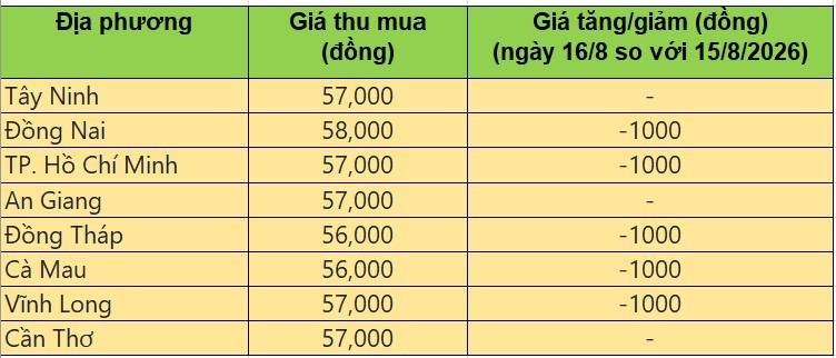 Bảng giá heo hơi tại miền Nam hôm nay 16/8/2026