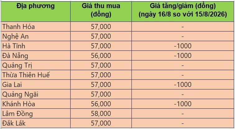 Bảng giá heo hơi tại miền Trung - Tây Nguyên hôm nay 16/8/2026