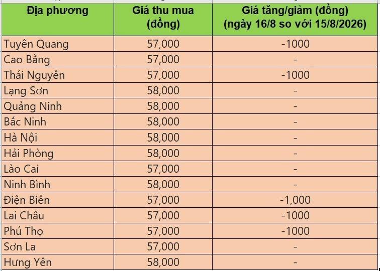Bảng giá heo hơi tại miền Bắc hôm nay 16/8/2026
