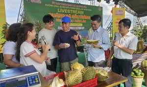 Vùng trồng nông sản: Ba yêu cầu sau Lễ hội sầu riêng Đắk Lắk 2026