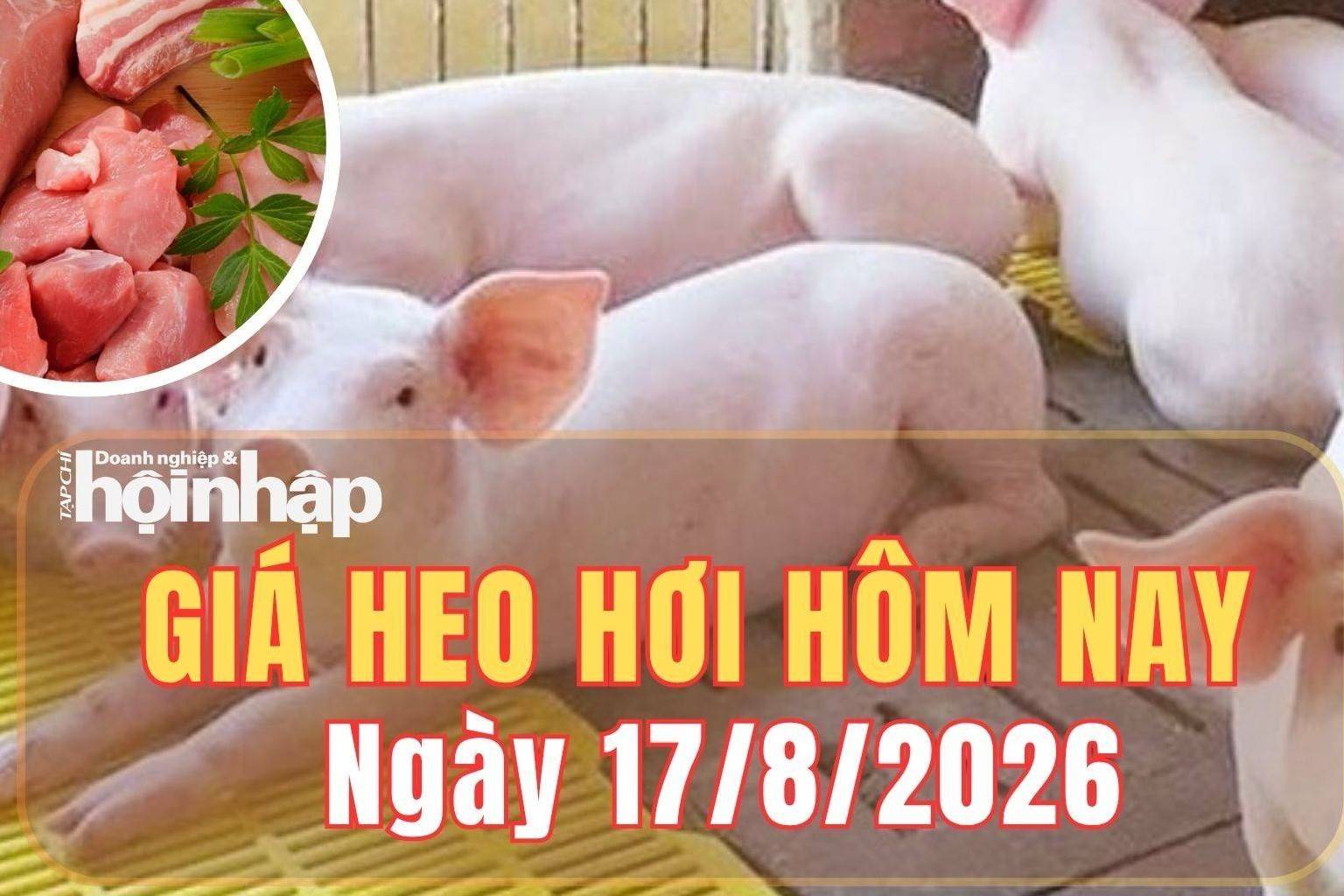 Giá heo hơi hôm nay 17/8/2026: Giá heo hơi tiếp tục giảm nhẹ