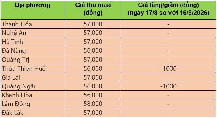 Bảng giá heo hơi tại miền Trung - Tây Nguyên hôm nay 17/8/2026