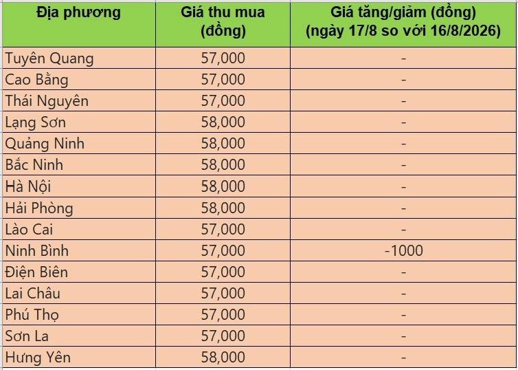 Bảng giá heo hơi tại miền Bắc hôm nay 17/8/2026