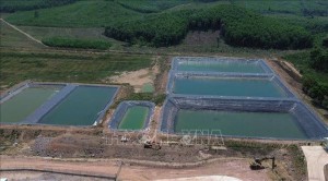 Trang trại 159 tỷ đồng ở Đắk Lắk bị phạt 180 triệu đồng vì ô nhiễm