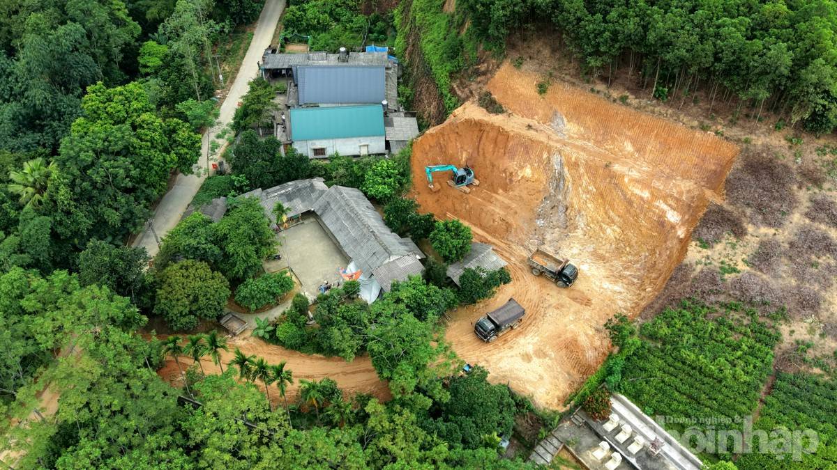 Phú Thọ: Hơn 1.200 trường hợp vi phạm đất đai, yêu cầu công khai kịp thời