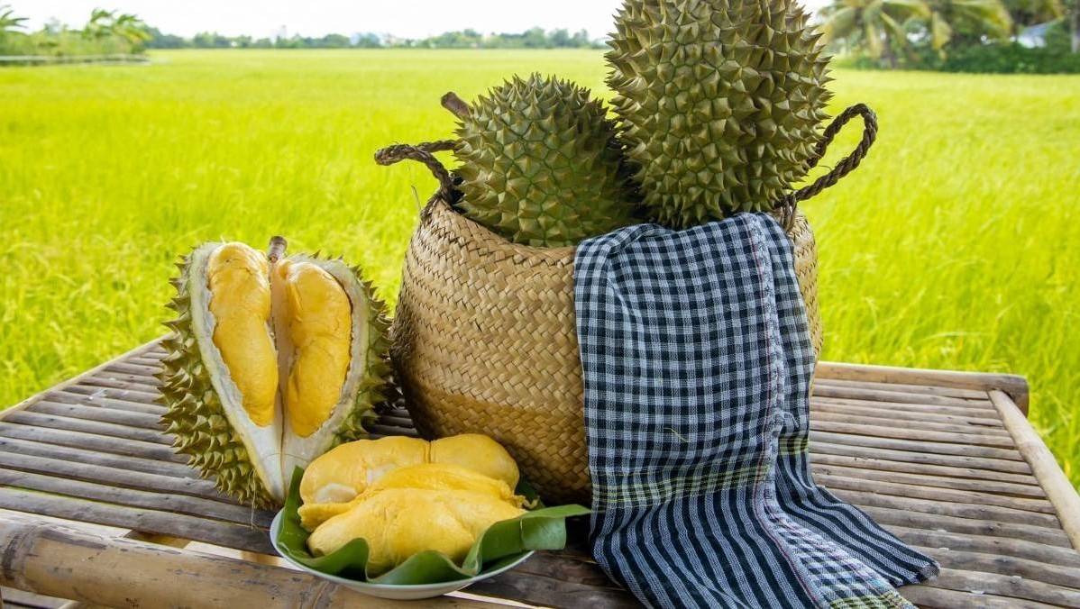 Sầu riêng Việt Nam phải tăng giá trị thay vì tăng diện tích