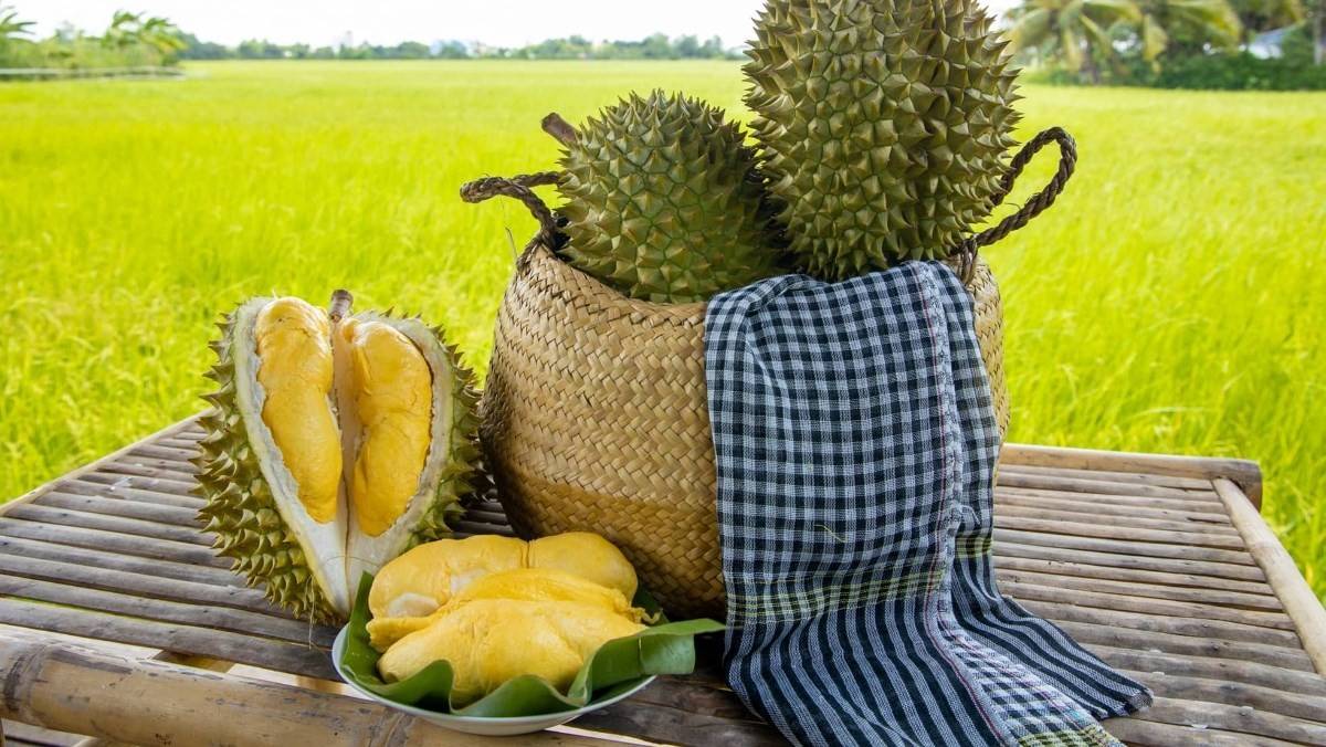 Chính phủ định hướng phát triển xuất khẩu sầu riêng đông lạnh sang Hoa Kỳ, EU, Nhật Bản, Canada, Hàn Quốc, Australia; đồng thời xúc tiến thương mại tại Anh, Pháp, Hà Lan và UAE.