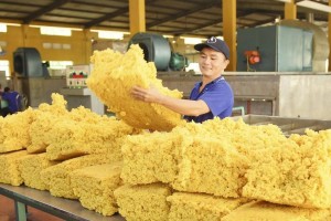 Cao su Việt Nam giảm phụ thuộc thị trường Trung Quốc