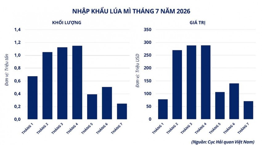 Giá lúa mì bật tăng, nguồn cung toàn cầu chịu sức ép