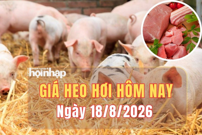 giá heo hơi