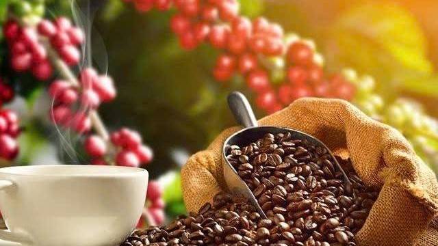 Tồn kho trên Sở ICE giảm 40 phiên, giá cà phê đồng loạt tăng