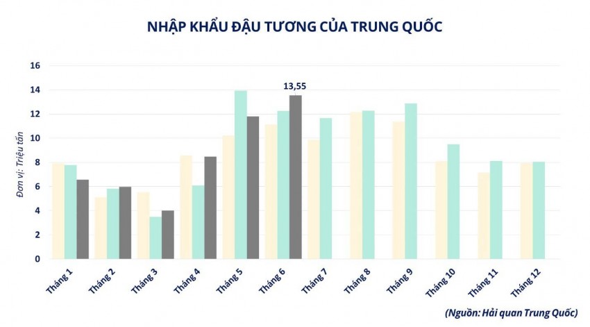 Tồn kho tăng cao, giá đậu tương thế giới vẫn đồng loạt bứt phá