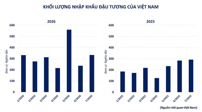 Tồn kho tăng cao, giá đậu tương thế giới vẫn đồng loạt bứt phá