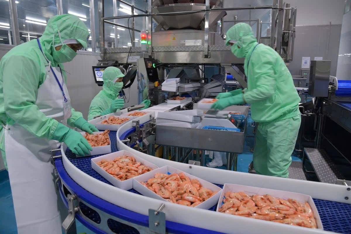 Xuất khẩu thủy sản Việt Nam năm 2026 có thể đạt khoảng 12,1-12,4 tỷ USD. Ảnh: Hồng Thắm.