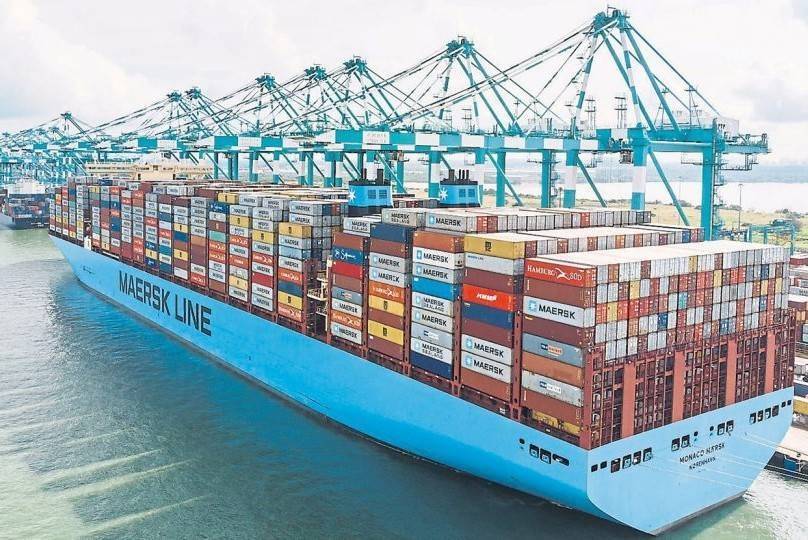 Cước tàu tăng 30%, thủy sản xuất khẩu chịu thêm hàng ngàn USD mỗi container