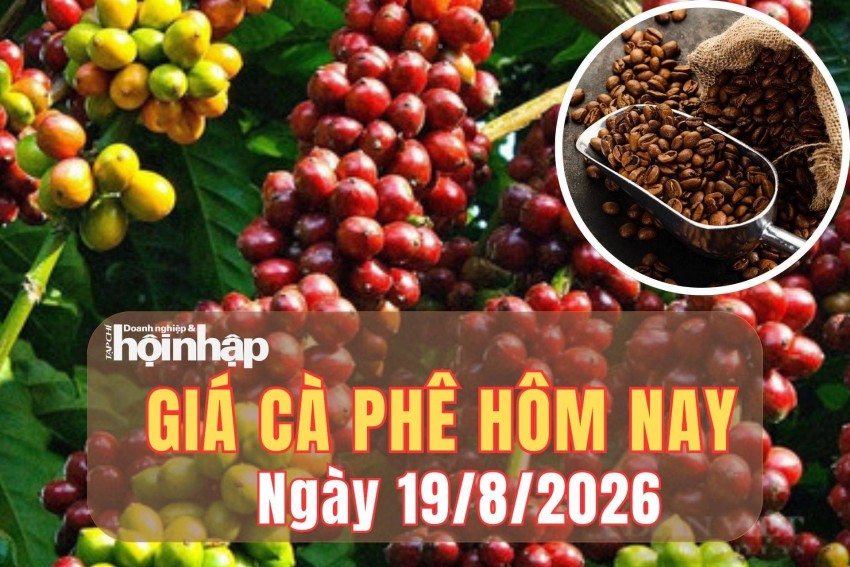 Giá cà phê hôm nay 19/8/2026: Giá cà phê Tây Nguyên tăng nhẹ, thế giới bứt phá