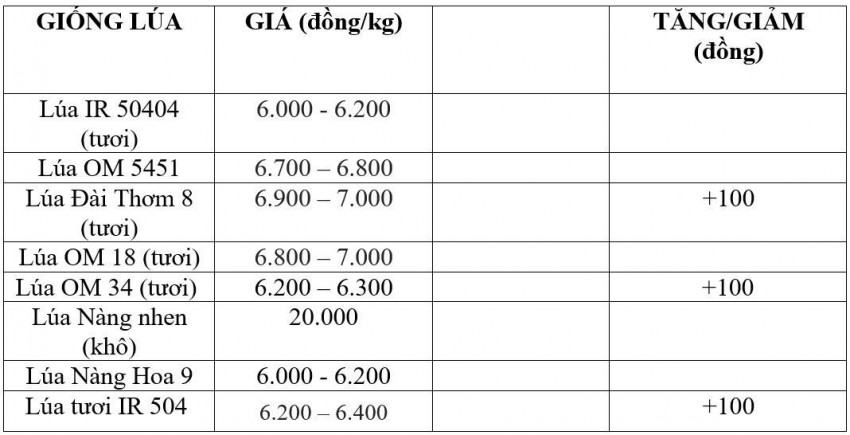 Bảng giá lúa hôm nay 19/8/2026