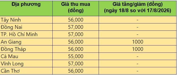 Bảng giá heo hơi tại miền Nam hôm nay 19/8/2026