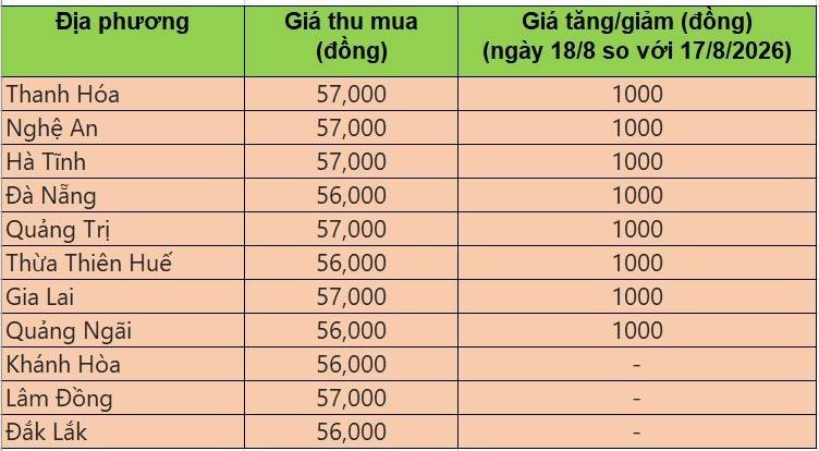 Bảng giá heo hơi tại miền Trung - Tây Nguyên hôm nay 19/8/2026