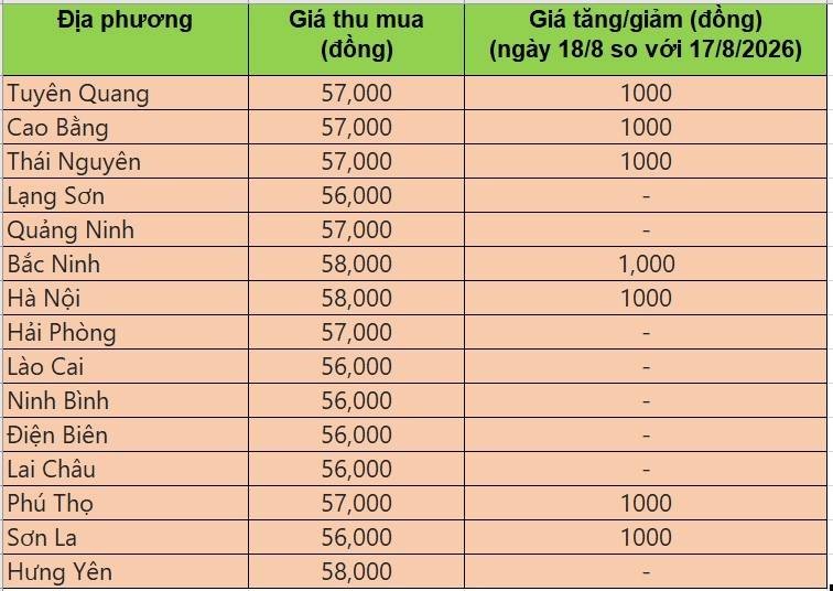 Bảng giá heo hơi tại miền Bắc hôm nay 19/8/2026
