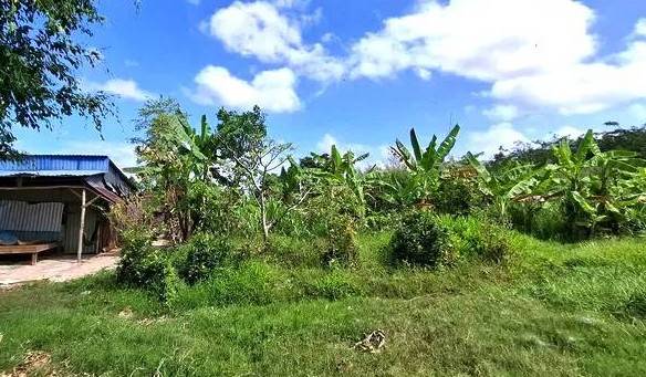 Cà Mau thu hồi đất vì doanh nghiệp không triển khai dự án