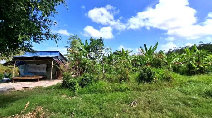 Cà Mau thu hồi đất vì doanh nghiệp không triển khai dự án