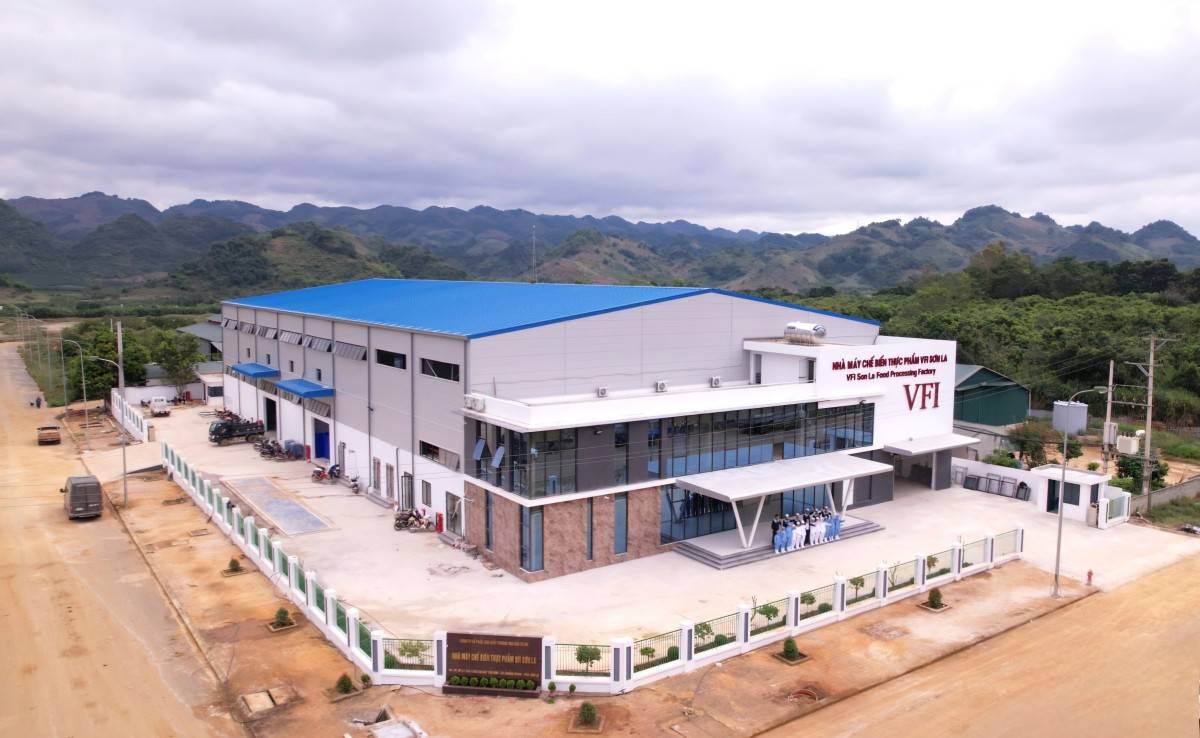 Sơn La xem xét mở rộng Nhà máy chế biến thực phẩm VFI