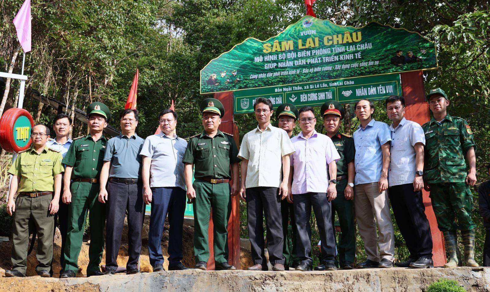 Phó Chủ tịch UBND tỉnh Hà Trọng Hải phấn khởi khi Sâm Lai Châu sinh trưởng, phát triển tốt tại bản Ngài Thầu.