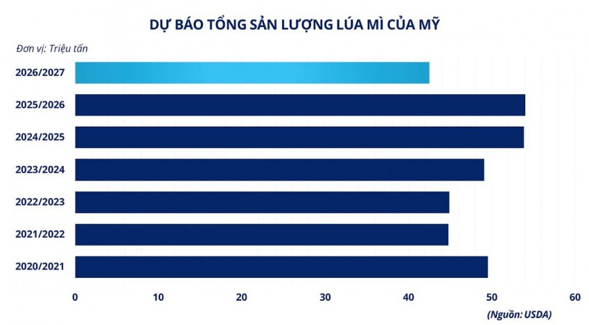 Giá lúa mì giảm mạnh trước sức ép nguồn cung từ Biển Đen và Mỹ