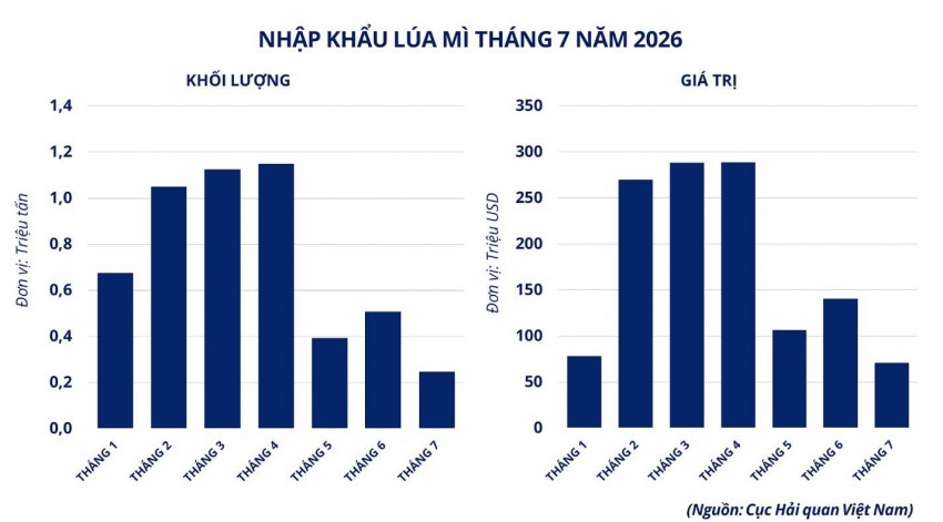 Giá lúa mì giảm mạnh trước sức ép nguồn cung từ Biển Đen và Mỹ