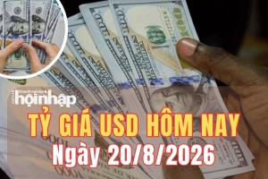 Tỷ giá USD hôm nay 20/8/2026: Đồng USD thế giới giảm mạnh