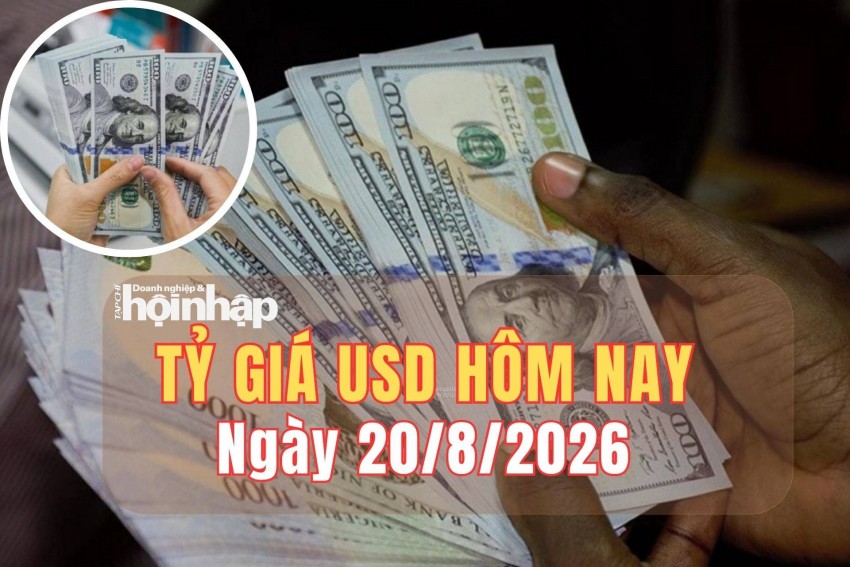 Tỷ giá USD hôm nay 20/8/2026: Đồng USD thế giới giảm mạnh