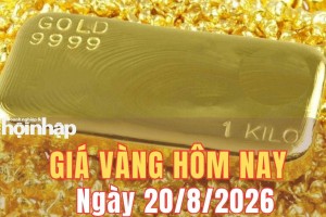 Giá vàng hôm nay 20/8/2026: Vàng trong nước lao dốc, thế giới vẫn trụ trên mốc 4.400 USD